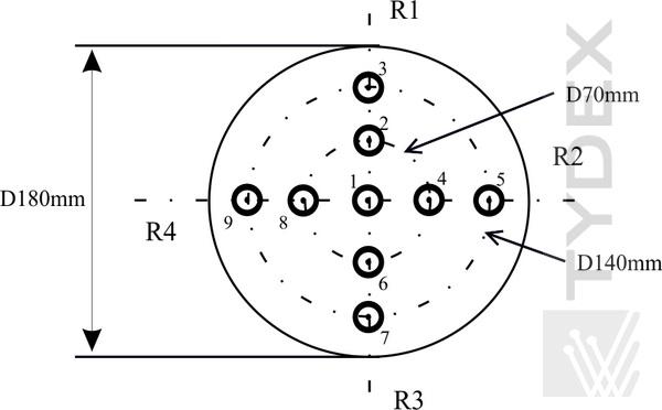 Scheme of location of internal scattering measurements spots